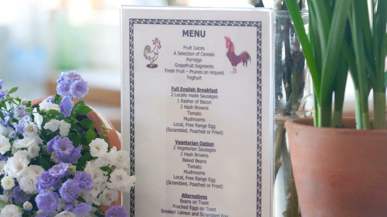 Ammonite Bed & Breakfast 科夫堡 外观 照片