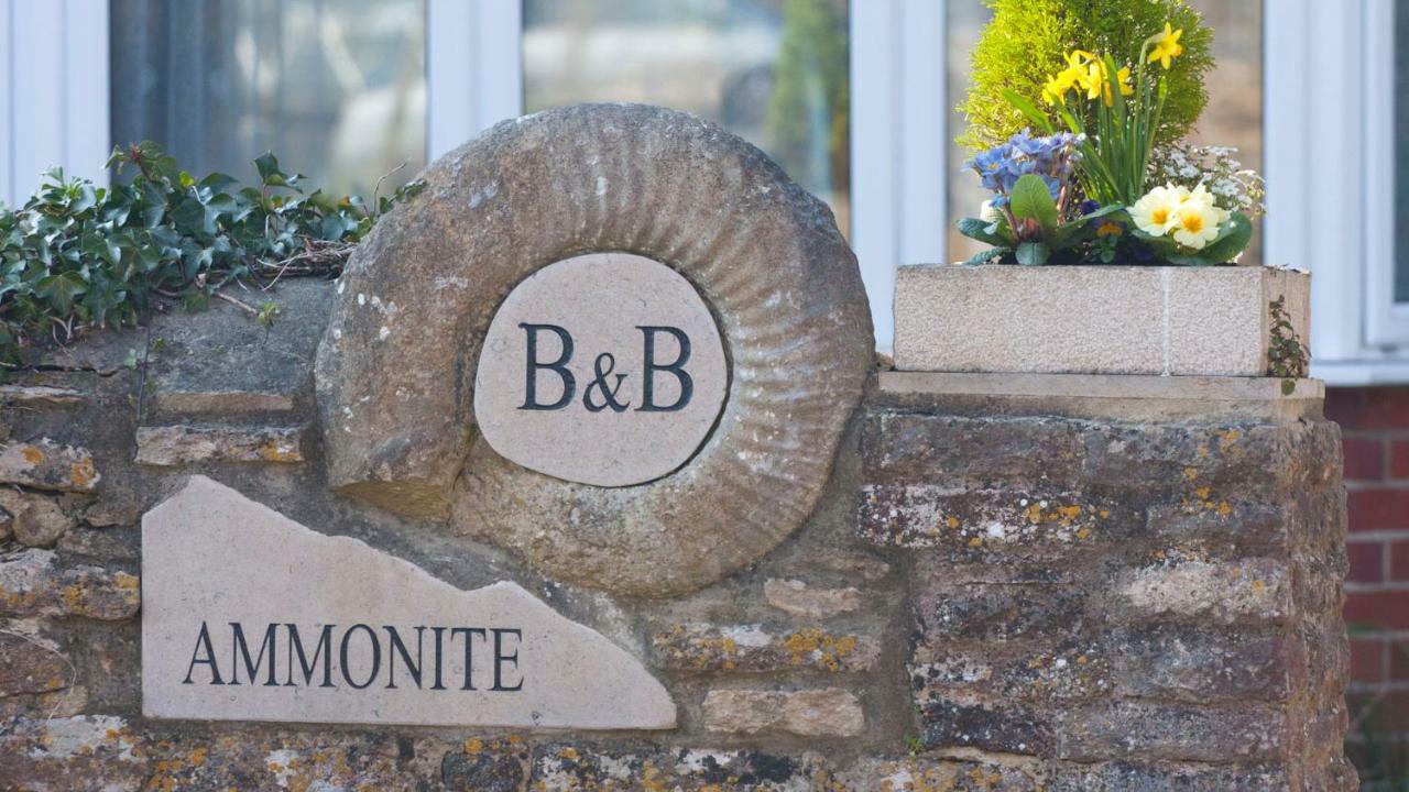 Ammonite Bed & Breakfast 科夫堡 外观 照片